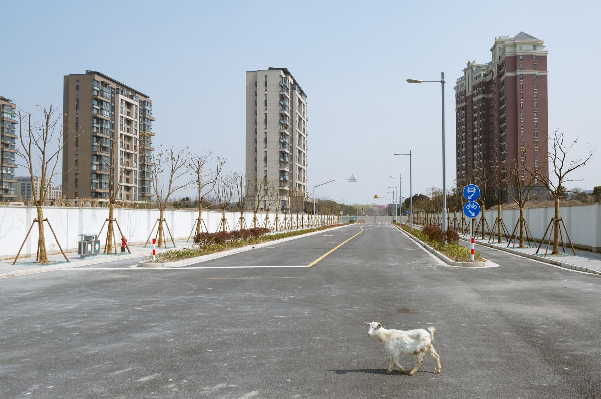 © Motherland - Photographs from 2014-2016 故土: 2014-2016年摄影作品个展